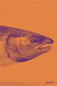 Salmon