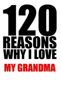 120 reasons why i love my grandma