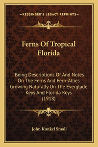Ferns Of Tropical Florida