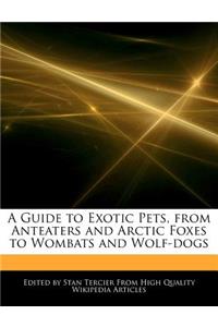 A Guide to Exotic Pets, from Anteaters and Arctic Foxes to Wombats and Wolf-Dogs