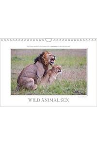 Emotional Moments: Wild Animal Sex. UK-Version 2018