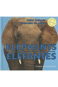 Elephants / Elefantes