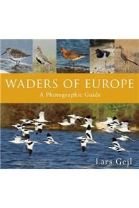 Waders of Europe