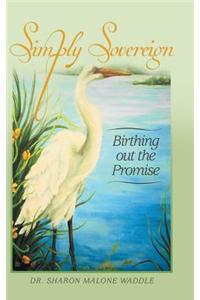 Simply Sovereign