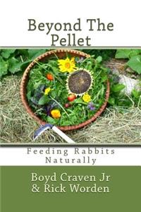Beyond The Pellet