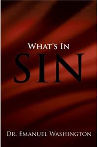 What's in Sin