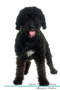 Spanish Water Dog Affirmations Workbook Spanish Water Dog Presents: Positive and Loving Affirmations Workbook. Includes: Mentoring Questions, Guidance, Supporting You.
