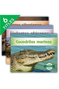 Especies Extraordinarias Set 2 (Super Species) (Set)