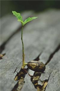 The Growing Hope Journal