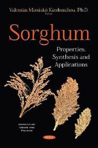 Sorghum