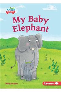My Baby Elephant