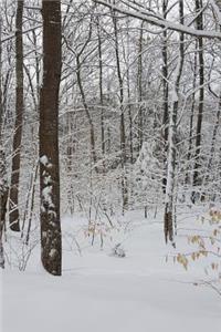 Journal Winter Weather Snowy Day