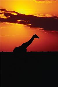 Giraffe Sunset Journal