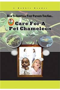 Care for a Pet Chameleon