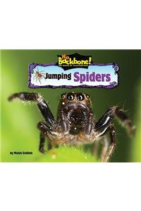 Jumping Spiders