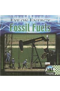 Fossil Fuels