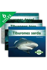 Tiburones Set 2 (Sharks) (Set)