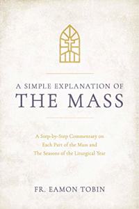 Simple Explanation of the Mass