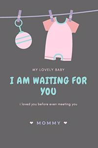 Pregnancy notebook