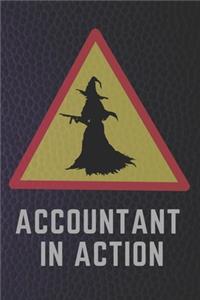 Accountant in Action