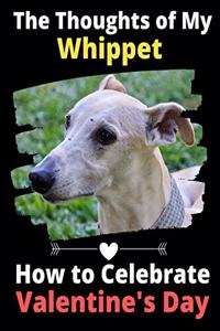 The Thoughts of My Whippet