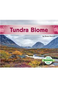 Tundra Biome