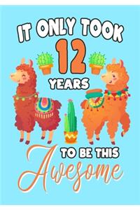 It only Took 12 Years To Be This Awesome