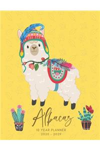 2020-2029 10 Ten Year Planner Monthly Calendar Alpacas Goals Agenda Schedule Organizer