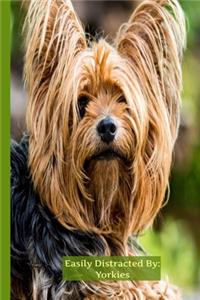 Easily Distracted By Yorkies