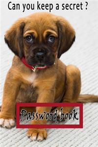 Password Book