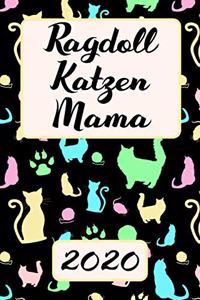 Ragdoll Katzen Mama 2020