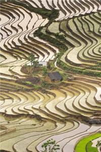 Flooded Rice Terrace Fields in Vietnam Journal