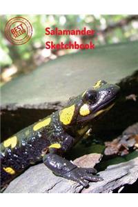Salamander Sketchbook