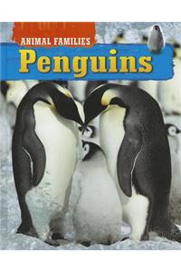 Penguins