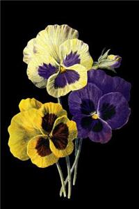 Vintage Pansy Flowers