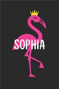 Sophia's Notebook