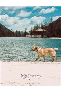 My Journey