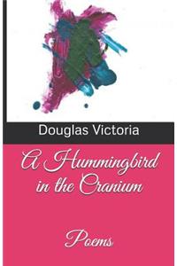 Hummingbird in the Cranium