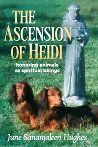 The Ascension of Heidi