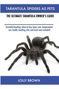 Tarantula Spiders As Pets
