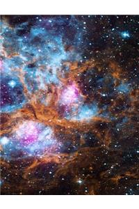 Space Lobster Nebula Notebook
