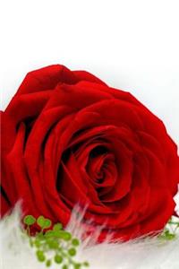 Chocolate and Roses Journal