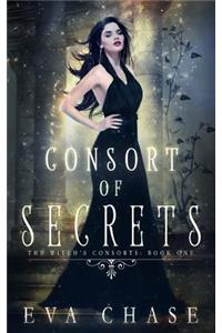 Consort of Secrets: A Paranormal Reverse Harem Novel