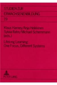 Lifelong Learning: One Focus, Different Systems