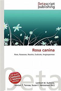 Rosa Canina
