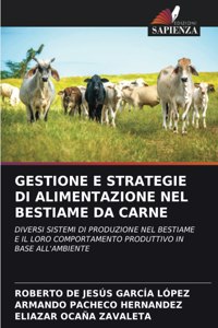Gestione E Strategie Di Alimentazione Nel Bestiame Da Carne
