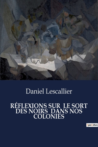 Réflexions Sur Le Sort Des Noirs Dans Nos Colonies