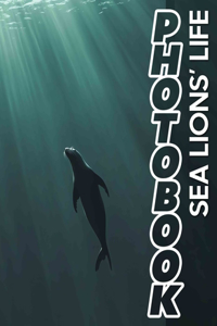 Sea Lions' Life Photo Book
