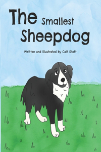 Smallest sheepdog