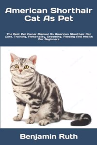 American Shorthair Cat As Pet